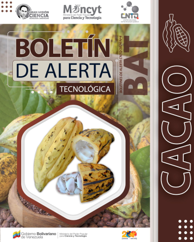 Cacao Número 4