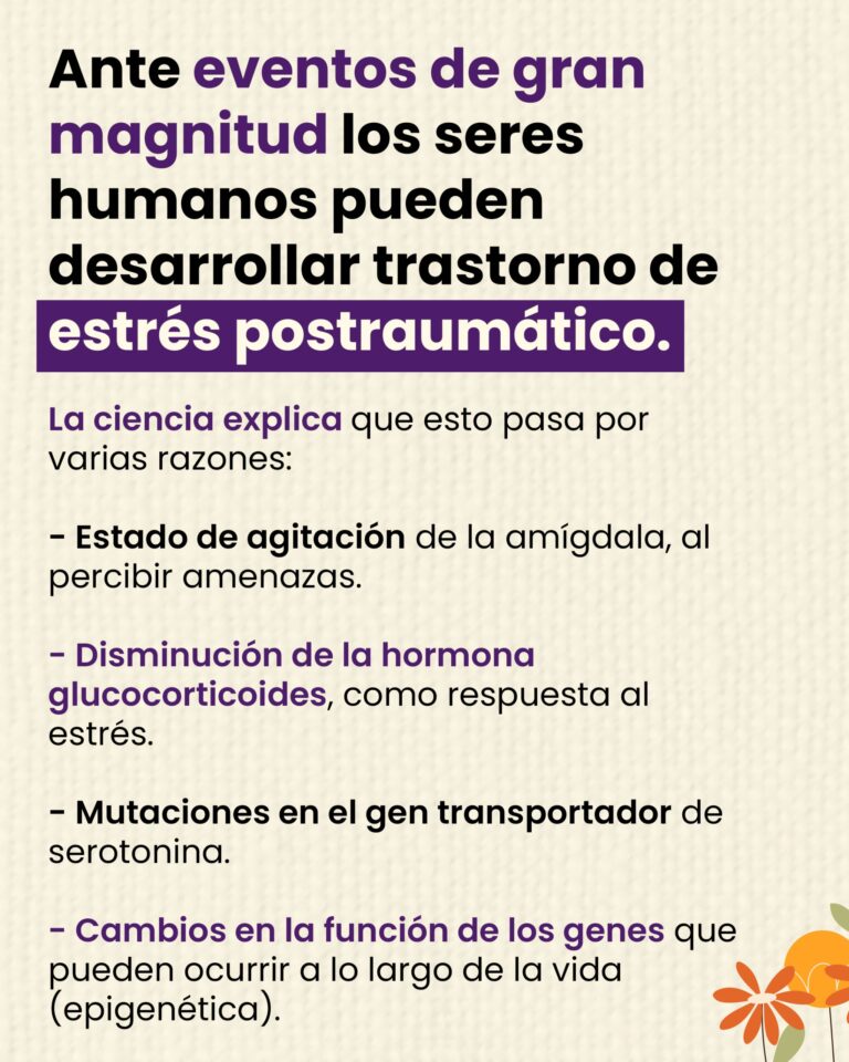 2- 5127811736336534424